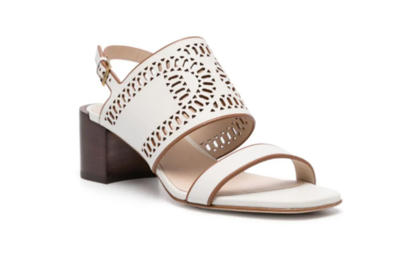 Tod’s Catena