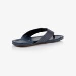 Frederick - Back View