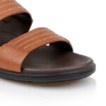 Theodore - Close-up View